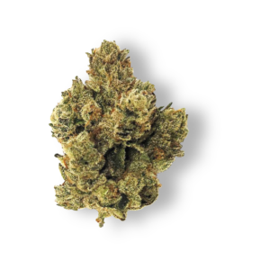Ozone SFVOG