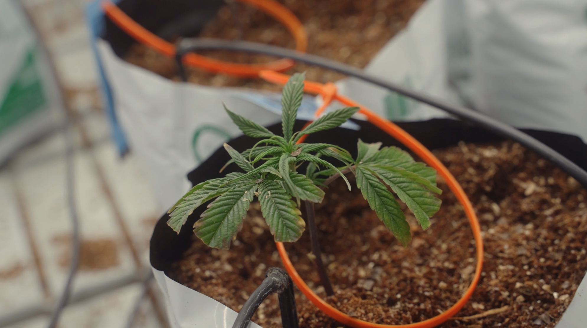 Screenshot 2025-11-18 at 3.24.20 PM