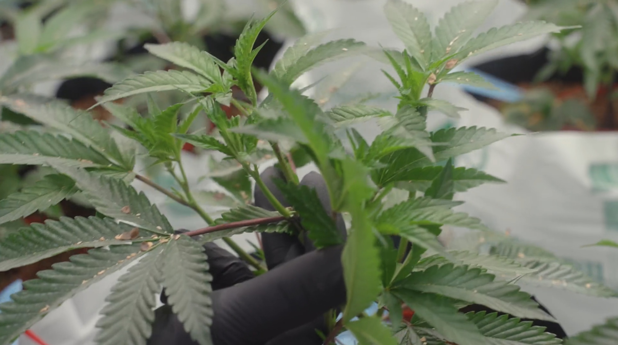 Screenshot 2025-11-18 at 3.24.52 PM