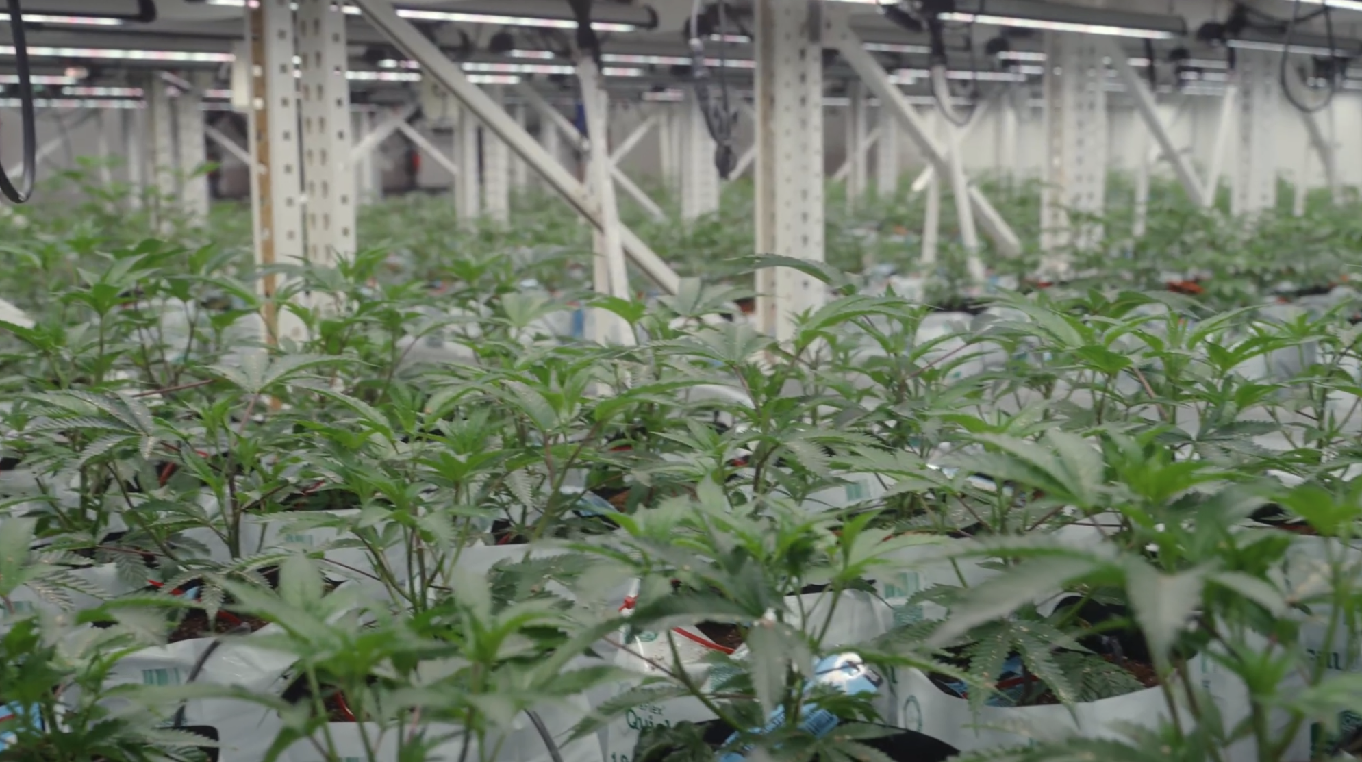 Screenshot 2025-11-18 at 3.25.04 PM