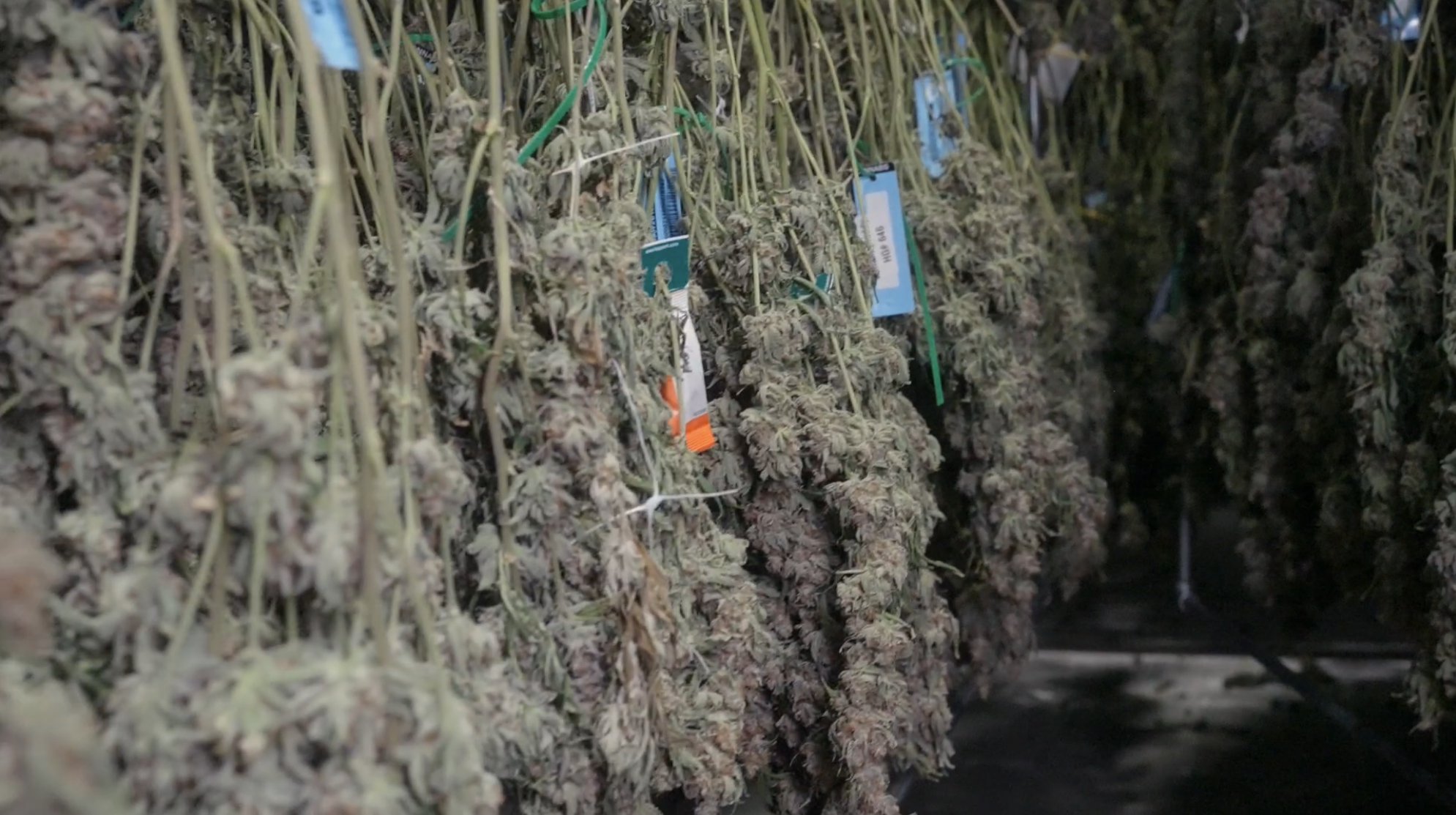 Screenshot 2025-11-18 at 3.25.28 PM