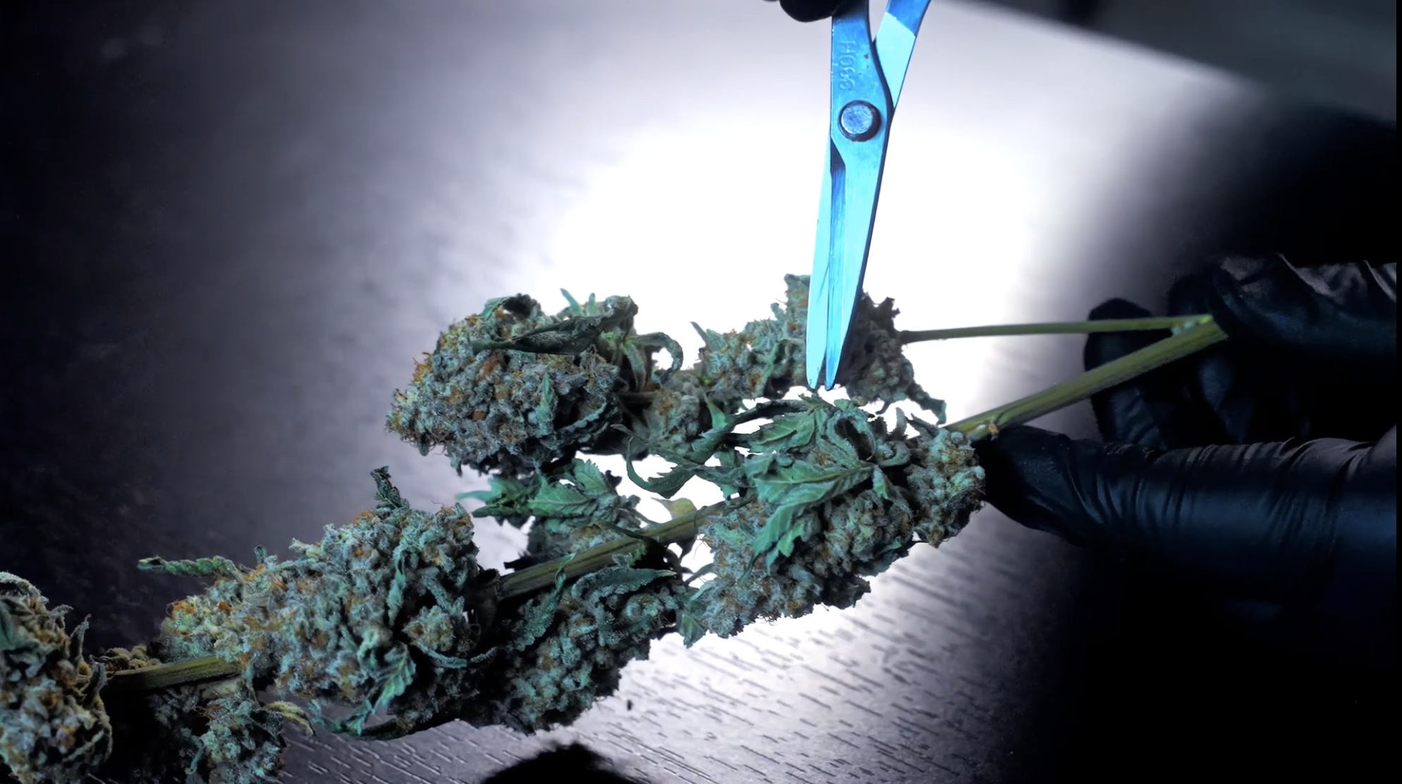 Screenshot 2025-11-18 at 4.01.45 PM